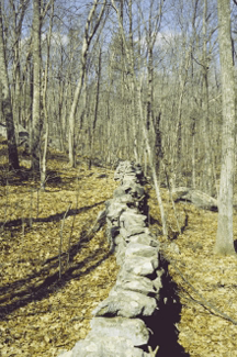 A New England stone wall