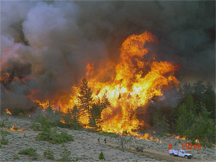 A hotshot crew conducts burnout operations on the Derby Fire