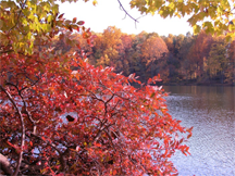 Autumn colors on Clopper Lake