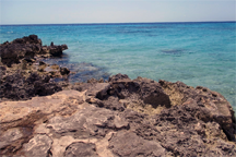 The Bay of Pigs, Cuba