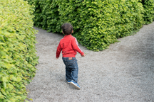 A child at a fork in a path