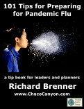 101 Tips for Preparing for Pandemic Flu