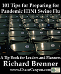 101 Tips for Preparing for Pandemic Swine Flu