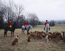 A foxhunt in Virginia