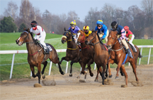 A horserace, which is a useful metaphor for the abuser's view of a conversation