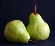 A pair of pears