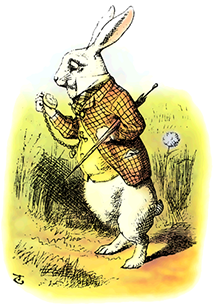 The rabbit that went down the rabbit hole