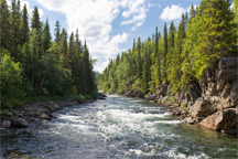 Rapids in a northern stream