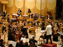 A symphony orchestra in action