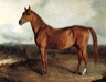American Eclipse, an American racehorse who lived from 1814 to 1847