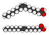 The molecular structure of Oleic Acid (a cis fat, top), and Elaidic Acid (a trans fat, bottom)