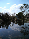 Flooding in Metarie, Louisiana, following Hurricane Katrina in 2005