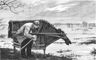 "Approaching the fowl with stalking-horse", an 1875 illustration of a cut-out horse shape used in hunting