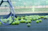 Tennis balls on a tennis court. Your fitness program can be a part of your job search.