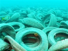 A tire reef off the coast of Fort Lauderdale, Florida